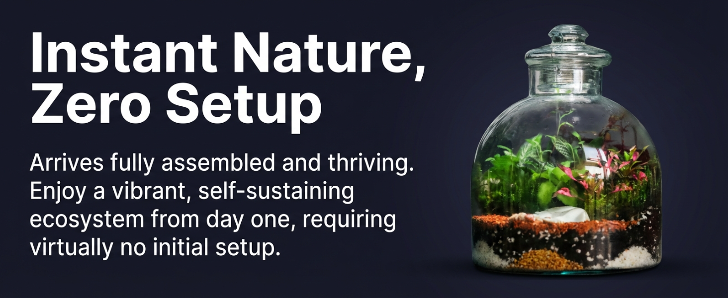 Terrarium A+ module created with ListingBrain
