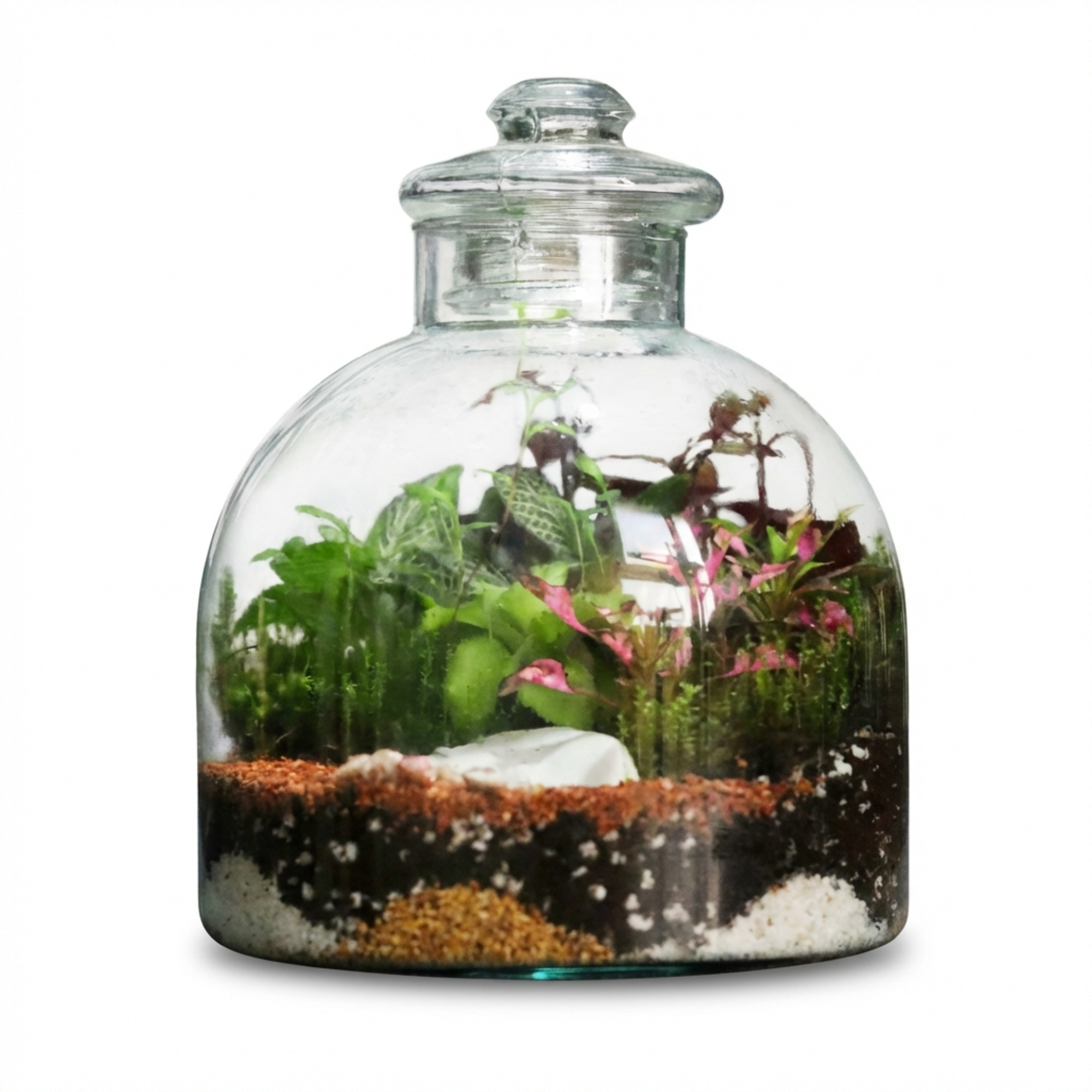 Terrarium gallery image created with ListingBrain