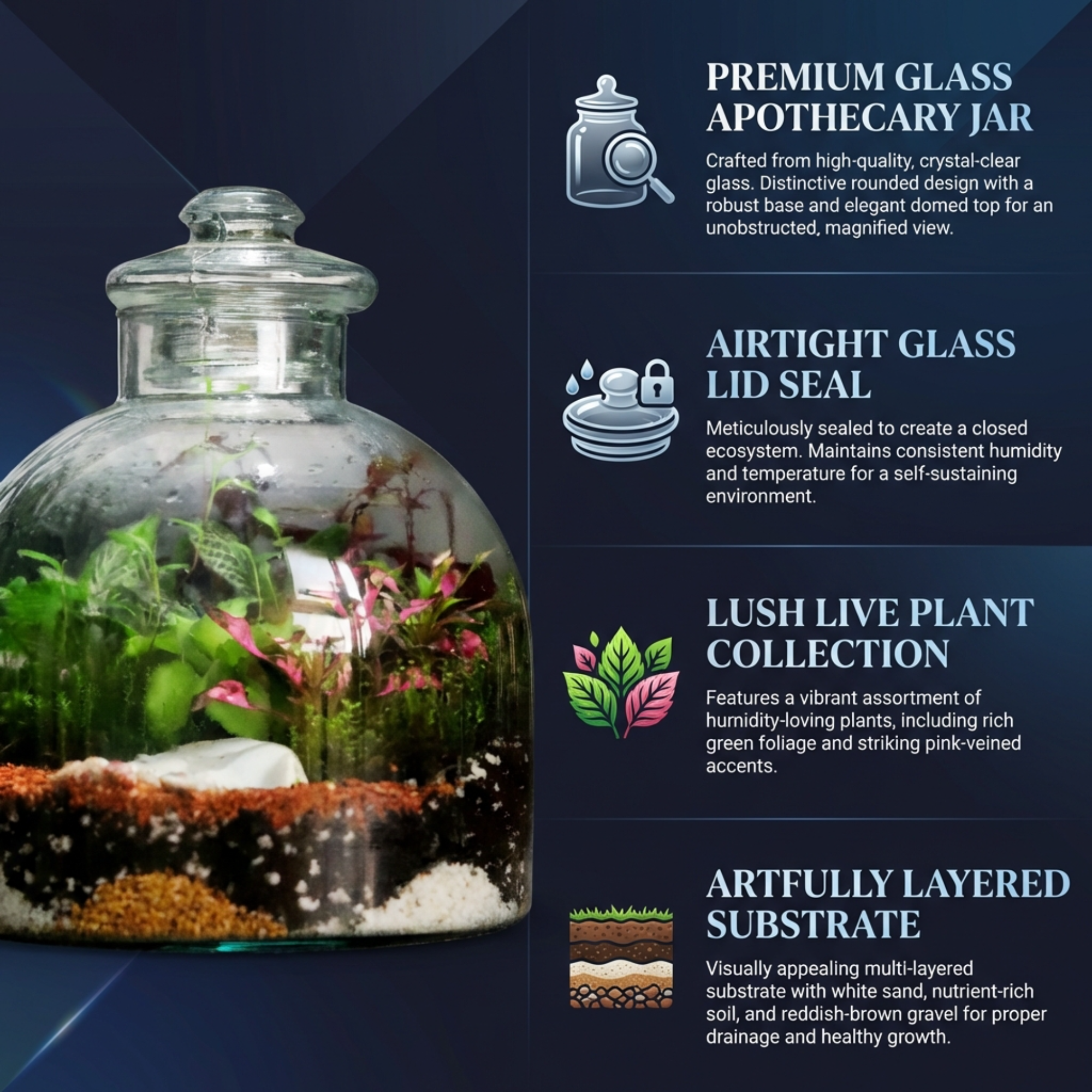 Terrarium supporting gallery visual